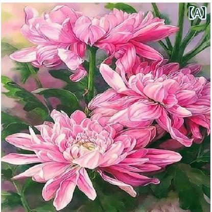 Hanging Scrolls - 数字油絵 DIY 絵画 植物 北欧 キャンバス ボタニカル アートパネル 塗り絵セット インテリア 壁飾り 趣味 暇つぶし 自宅 おうち時間 創作 ギフト プレゼント 癒し 初心者 おしゃれ 室内 装飾 壁掛け 芸術 集中力 向上 ストレス解