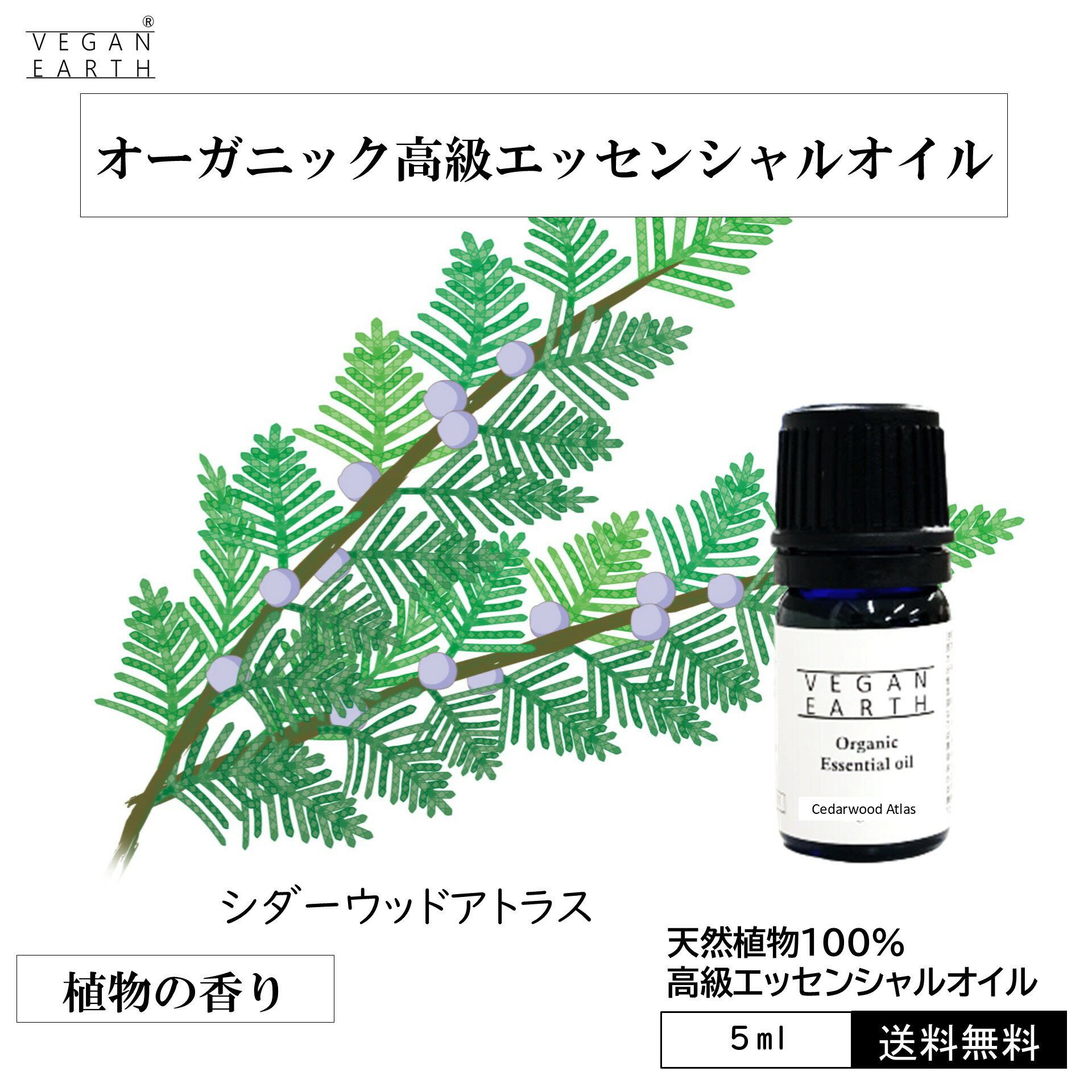 天然100%高級エッセンシャルオイ...