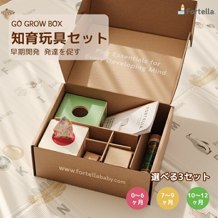 ＜16日01:59迄店内最大2000円OFF＋P10倍＞Go Grow Box 0～1歳 モンテッソーリ玩具 おもちゃ 知育玩具 ベビー こども 子供 歯がため フラッシュカード レインメーカー シェイプソーター ティッシュボックス パズル 積み木 マラカス カスタネット プレゼント ギフト 出産祝い