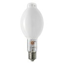 エルパ LED電球 E12口金 全光束18lm(0.5Wミニボールタイプ相当) 昼白色 1個入り elpaball mini LDG1N-G-E12-G230 [LDG1NGE12G230]