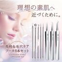 【8本セット】 角栓 毛穴 ニキビ 専用ケアキット 精密 極細 抗菌 ステンレス ピンセット コメドプッシャー 角栓抜き 角栓取り 鼻 角栓 毛抜き 黒ずみ 皮...