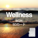 【ウェルネスBGM】音源入SDカード 40sスピーカー用 癒やし リラックス 健康 管理 免疫力 認知症 予防 自律神経 脳活性 セラピー ウェルネス リラクゼ...