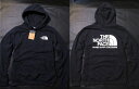 本物正規 ノースフェイス スウェット パーカー THROWBACK NSE■紺/AVIATOR NAVY■新品 アメリカ限定 RG1 裏地起毛 The North Face