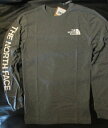 本物正規◆ノースフェイス◆長袖Tシャツ Sleeve Hit■グレー/白■新品■アメリカ限定/GAZ/The North Face/メンズ