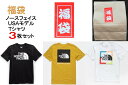 商品説明 ザノース フェイス Tシャツ 本場THE NORTH FACE USAモデルのTシャツ3枚セットです。 ※掲載写真は一例です。福袋企画の為、色、柄は選べません。又　返品交換もできません。 表記サイズ：S（日本メンズM位） 肩幅：身幅：着丈＝約45：50：69cm 表記サイズ：M（日本メンズL位） 肩幅：身幅：着丈＝約46：52：70cm 表記サイズ：L（日本メンズXL位） 肩幅：身幅：着丈＝約48：56：71cm 表記サイズ：XL（日本メンズXXL位） 肩幅：身幅：着丈＝約51：60：72cm （同一タイプの平均的数値です。） ■状態：新品 ※発送※　レターパックプラスでの発送になります。 注意事項 ※紙袋は付属しません。 複数購入品は代表して1点採寸しております。 店頭購入品の為、微細な擦れや汚れ等ある場合がございます。 また極稀に紙タグが無い場合がございます。 ブランド説明 1968年にサンフランシスコで産声を上げたTHE NORTH FACEは、当初小さなメーカーでしたが、まもなく発売したスリーピングバッグにより高い信頼を獲得するようになります。高品質なだけでなく、最低何度の気温まで快適に使用できるかという「最低温度規格表示」を明記したことが反響を呼びました。 1970年代初頭には、世界初のドーム型テントを開発します。このテントは1976年、イギリス・カナダ合同隊によるパタゴニア遠征で伝説を残しています。日本ではゴールドウィンのライセンス企画がほとんどの為US企画の本場の商品が希少性もあって人気です。