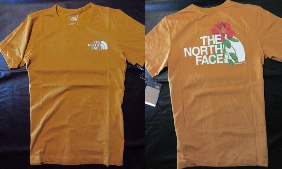 本物正規 ノースフェイス Tシャツ HIM BOT■CITRINE YELLOW■新品■アメリカ限定■HBX The North Face メンズ 半袖