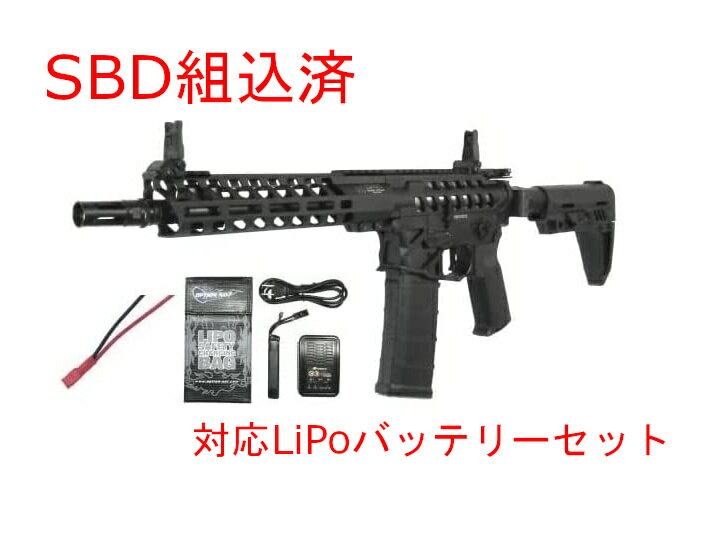 【カスタム完成品】LiPoバッテリーセット CAT 電動ガン CAT-01 C.A.T.AR-15 Legend 10” SBD組込済 【即納モデル】