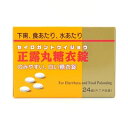 【第2類医薬品】ニッシン正露丸糖衣錠 24錠 [【メール便(送料込)】※代引・日時・時間・他の商品と同時購入は不可]