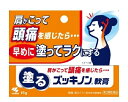 【第3類医薬品】塗るズッキノン軟膏 15g [【メール便(送料込)】※代引・日時・時間・同梱は不可]