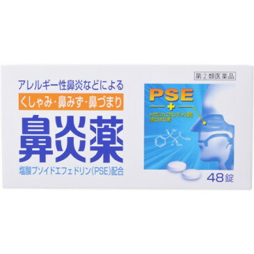 【第(2)類医薬品】鼻炎薬A クニヒロ 48錠