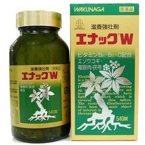 【第3類医薬品】エナックW 540錠 湧永製薬 