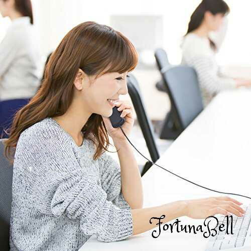 サンワサプライ ノイズキャンセリングマイク付きUSBヘッドセット MM-HSU15ANC