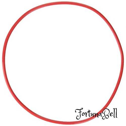 OLYMPUS 45m防水プロテクター PT-EP13用 Oリング POL-EP13