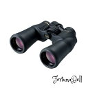 Nikon 双眼鏡 アキュロンA211 16x50 ポロプリズム式 16倍50口径 ACA21116X50(2)
