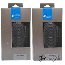 色:ブラック 2本セット SCHWALBE(シュワルベ) BILLY BONKERS 26x2.10(54-559) ADDIX フォールディング Foldin...