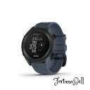 GARMIN(ガーミン) ゴルフナビ GPS Approach S12 Granite Blue 010-02472-21 小
