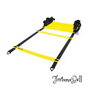 スキルズ(SKLZ) トレーニングラダー リアクティブアジリティラダー エレベーションラダー スピードトレーニング用(4)
