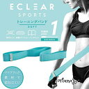 色:Level.1 ライトブルー エクリアスポーツ トレーニングチューブ 切れにくいファブリックタイプ 収納バンド付 トレーニングブック付 (ソフト/ハード/エクストラハード)