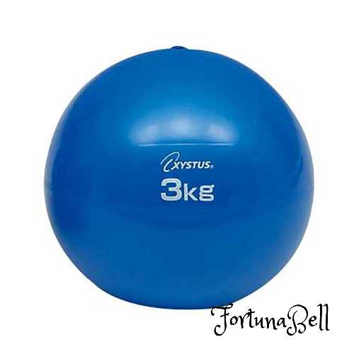 サイズ：3kg TOEI LIGHT(トーエイライト) ソフトメディシンボール