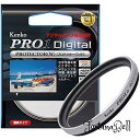 Kenko 46mm レンズフィルター PRO1D プロテクター シルバー枠 レンズ保護用 薄枠 日本製 246528