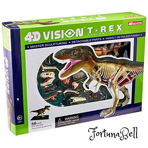 恐竜 T-Rex 動物 解剖 骨 模型 立体 モデル 4D 教材 入学祝い Famemaster