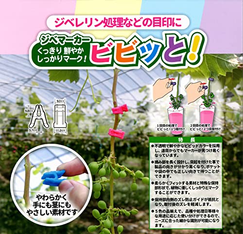 ���٥ޡ����� �ӥӥä� ����� 500������ VVT-OR05