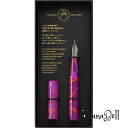寺西化学工業(Teranishi Chemical Industry) ギター ガラスペン キャップ付 オーロラ サンセットピンク GLAA-SP