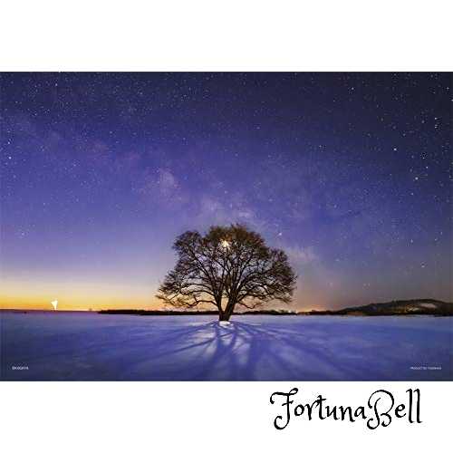 300ピース ジグソーパズル KAGAYA ハルニレの木と天の川 (北海道) 光るパズル (26x38cm)