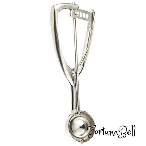 遠藤商事(Endo Shoji) TKG アイスクリームすくいデッシャー #20 直径*全長φ43*204mm 容量(cc) 30 錆に..