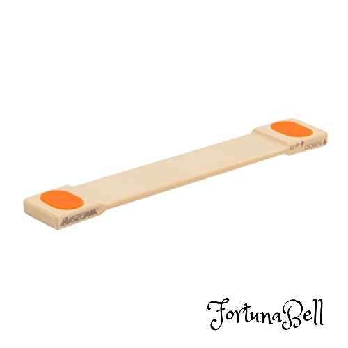 ハセガワ 抗菌 まな板リフター (1本) LF10-300