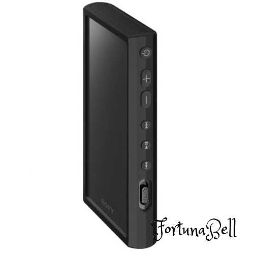 ソニー(SONY) ウォークマン純正アクセサリー NW-A300シリーズ専用 シリコンケース ブラック CKM-NWA300BC