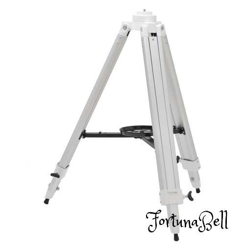 Kenko 天体望遠アクセサリー スカイ