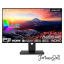JAPANNEXT 27インチ モニター WQHD 2560x1440解像度 IPS ディスプレイ (HDMI/DisplayPort/スピーカー内蔵/VESA対応/ブルーライトカット) JN-27i4FLQR(2)