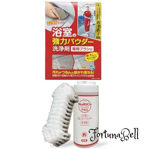 アイオン 浴室用洗剤 パウダー 専用ブラシ付き アルカリ性 除菌 カリスマ清掃員 新津春子監修 皮脂