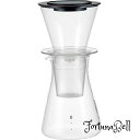 iwaki(イワキ) 耐熱ガラス コーヒーサーバー ウォータードリッパー ウォータードリップ 440ml KT8644-CL1