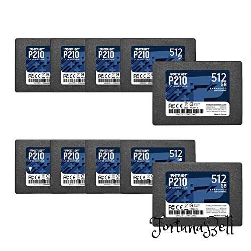 Patriot P210 SATA 3 512GB SSD 2.5 Inch Internal Solid State Drive 10 Pack, Lot of 10 - P210S512G2510