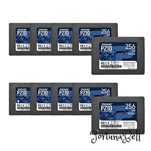 Patriot P210 SATA 3 256GB SSD 2.5 Inch Internal Solid State Drive 10 Pack, Lot of 10 - P210S256G2510
