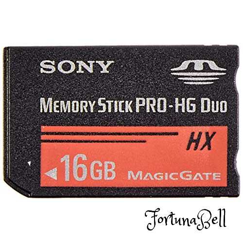 ソニー メモリースティック PRO-HG デュオ16GB MS-HX16B T1 ソニー メモリースティック PRO-HG デュオ16GB MS-HX16B T1