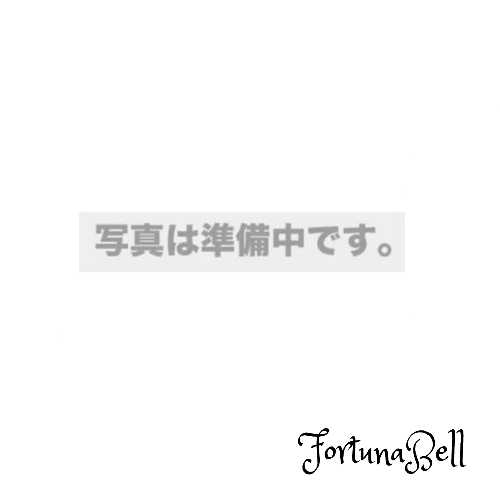 EDWIN(エドウィン) コンパクトケース EDW-F105
