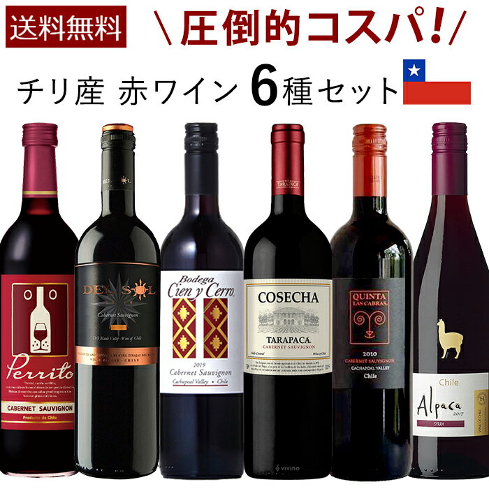 チリワイン 【送料無料】赤ワイン チリ 6本セット フルボディ 750ml ミディアムボディ 6種類 カベルネソヴィニオン カルメネール シラー　飲み比べ 家飲み プレゼント