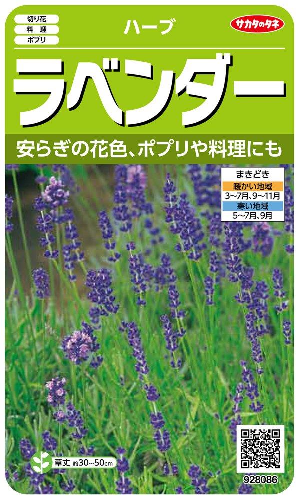 サカタのタネ 実咲ハーブ8086 ラベンダー ハーブ 00928086