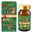 リベト イチョウ葉エキスプラス 90粒