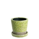 ダルトン(Dulton) 植木鉢 プランター 3.5号 ライムグリーン 受け皿付き 穴あり 陶器鉢 カラー 園芸用品 高さ9.5cm 上部:φ10.5cm 底部:φ8cm CH15-G527LGN COLOR GLAZED POT LIME GREEN