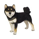 ウービア 左向きに立つ黒柴犬(大) 49×25.5×41.5 人形 フィギュア 置き物 アニマル 動物 ガーデン 装飾 犬 イヌ H13316-2
