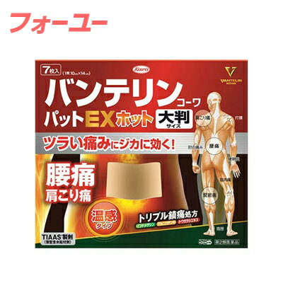 【第2類医薬品】(税制対象)バンテリンコーワパットEXホット大判 7枚 4987067329700