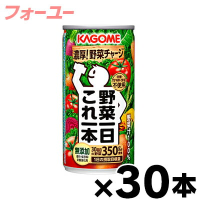 【送料無料！】 30缶入り カゴメ　野菜一日これ一本　190g 1ケース　【本ページ以外の同時注文同梱不可】　4901306186602