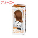 花王 リーゼ 泡ブリーチ ナチュラルトーン 108ml 4901301433381