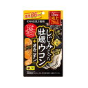 井藤漢方製薬 しじみの入った牡蠣ウコン+オルニチン 徳用 264粒 4987645495681