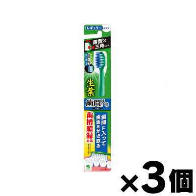 【メール便送料無料】小林製薬 生葉 歯間に入るブラシ レギュラー ふつう 1本×3個セット　4987072043240*3