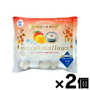 夏季限定品!【メール便送料無料!】 明治屋 夏を楽しむマシュマロ マンゴー&杏仁 70g×2個 4902701925629*2